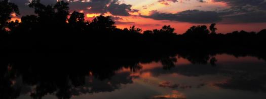 Jacob Borchardt Photography